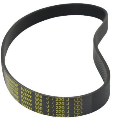Rippenriemen 8 PJ559 für F9 Türantrieb
